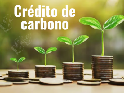 TÍTULOS DE CRÉDITOS DE CARBONO