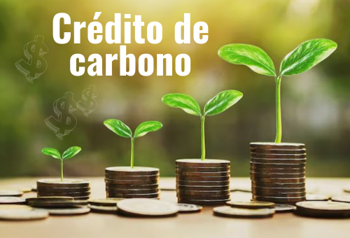 TÍTULOS DE CRÉDITOS DE CARBONO