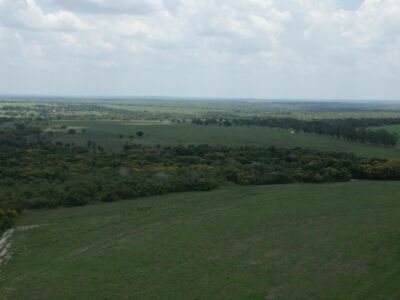 Ativo - Fazenda 1.700 Alqueirão