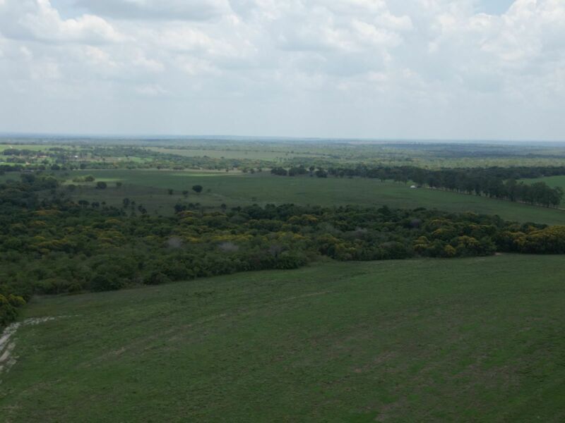 Ativo - Fazenda 1.700 Alqueirão