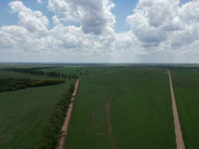 Ativo - Fazenda 1.700 Alqueirão