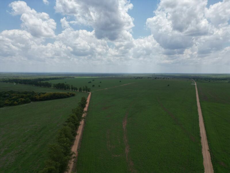 Ativo - Fazenda 1.700 Alqueirão