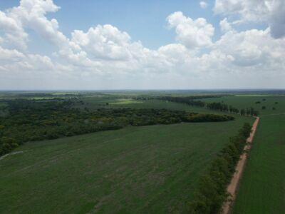 Ativo - Fazenda 1.700 Alqueirão