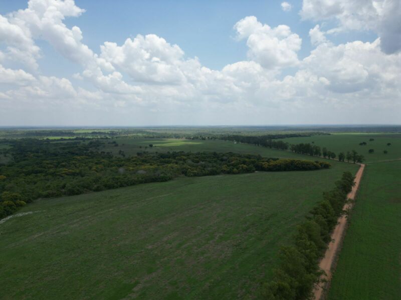 Ativo - Fazenda 1.700 Alqueirão