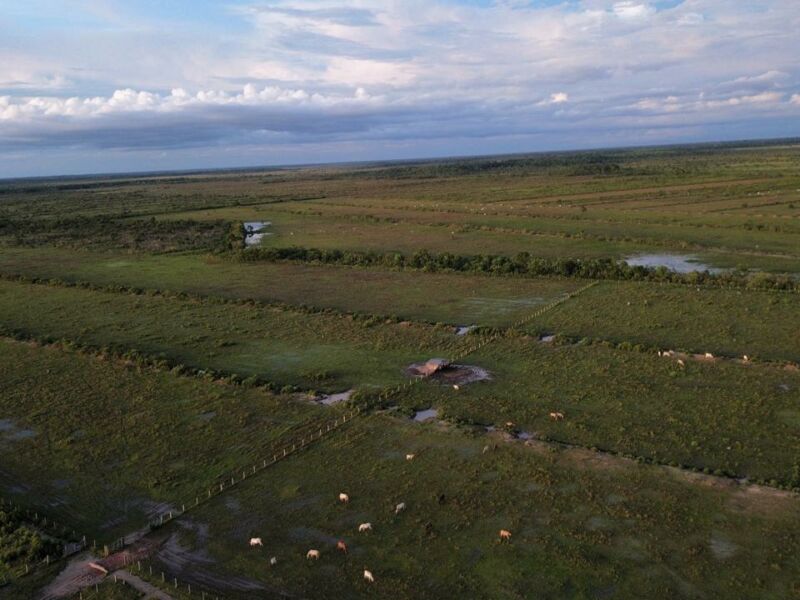 OFERTA | FAZENDA NA BR 319 SENTIDO HUMAITA (AM)