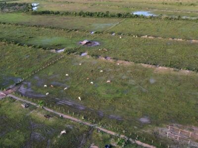 OFERTA | FAZENDA NA BR 319 SENTIDO HUMAITA (AM)