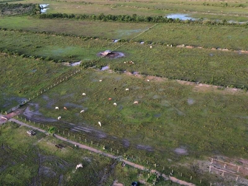 OFERTA | FAZENDA NA BR 319 SENTIDO HUMAITA (AM)