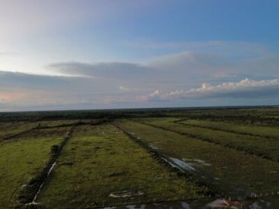 OFERTA | FAZENDA NA BR 319 SENTIDO HUMAITA (AM)