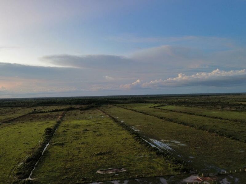 OFERTA | FAZENDA NA BR 319 SENTIDO HUMAITA (AM)