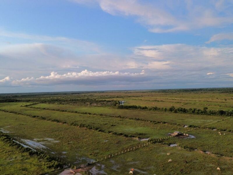 OFERTA | FAZENDA NA BR 319 SENTIDO HUMAITA (AM)