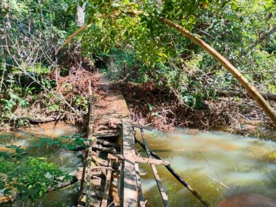 SÍTIO ANAMÃ - 50ha