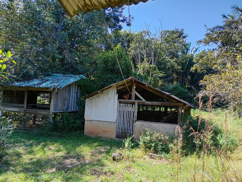 SÍTIO ANAMÃ - 50ha