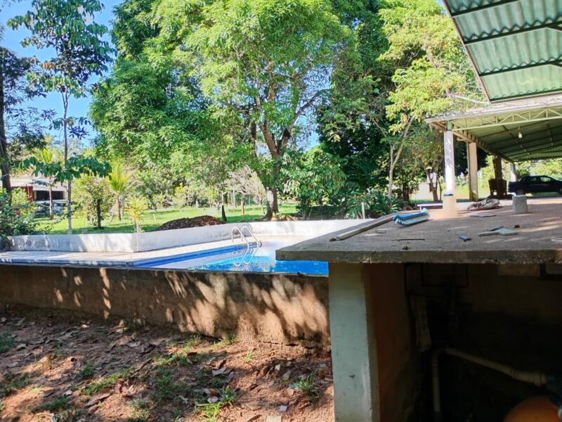 SÍTIO ANAMÃ - 50ha