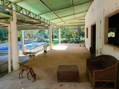 SÍTIO ANAMÃ - 50ha