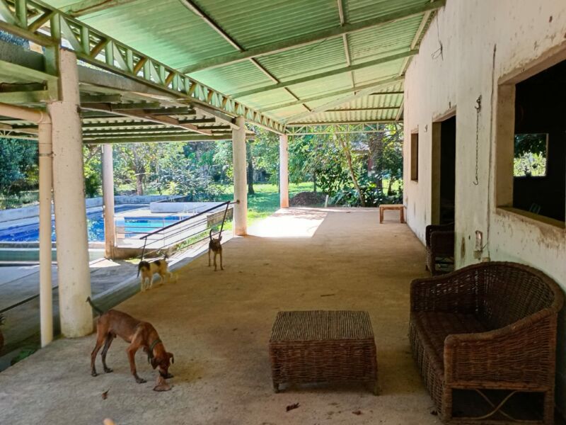 SÍTIO ANAMÃ - 50ha