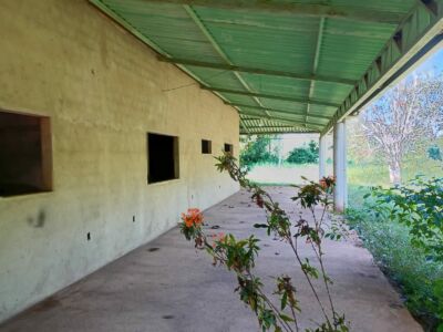 SÍTIO ANAMÃ - 50ha