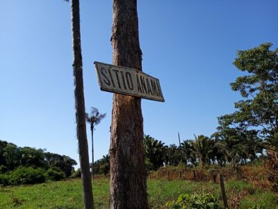 SÍTIO ANAMÃ - 50ha